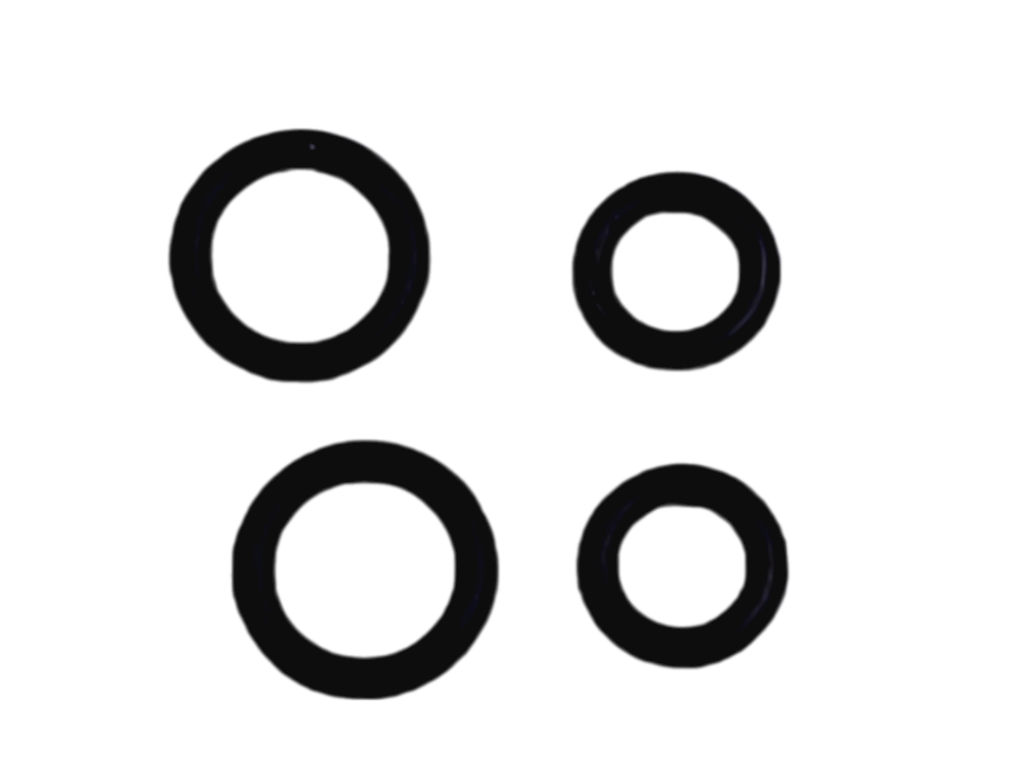 Těsnící "O" kroužky, sada, vysavač Eta Neptun